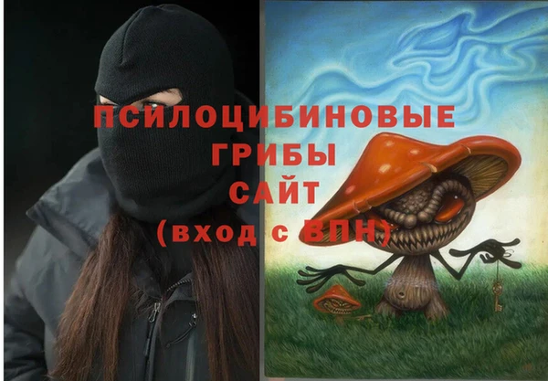 сатива Елабуга