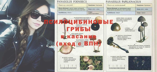 гашишное масло Елизово
