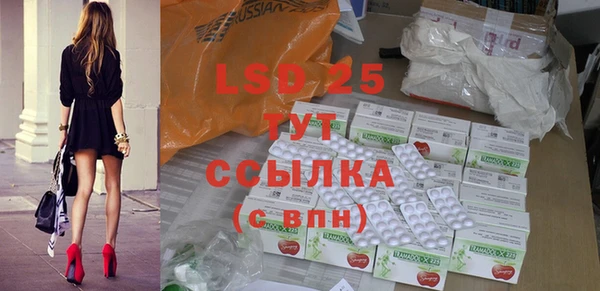 сатива Елабуга