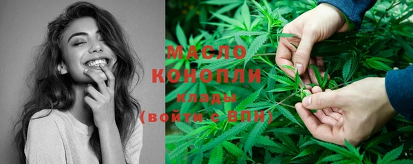 сатива Елабуга